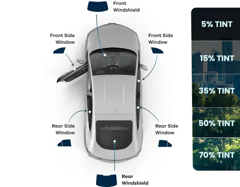 Removeable window Tint